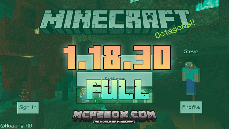 Minecraft 1.18.30 